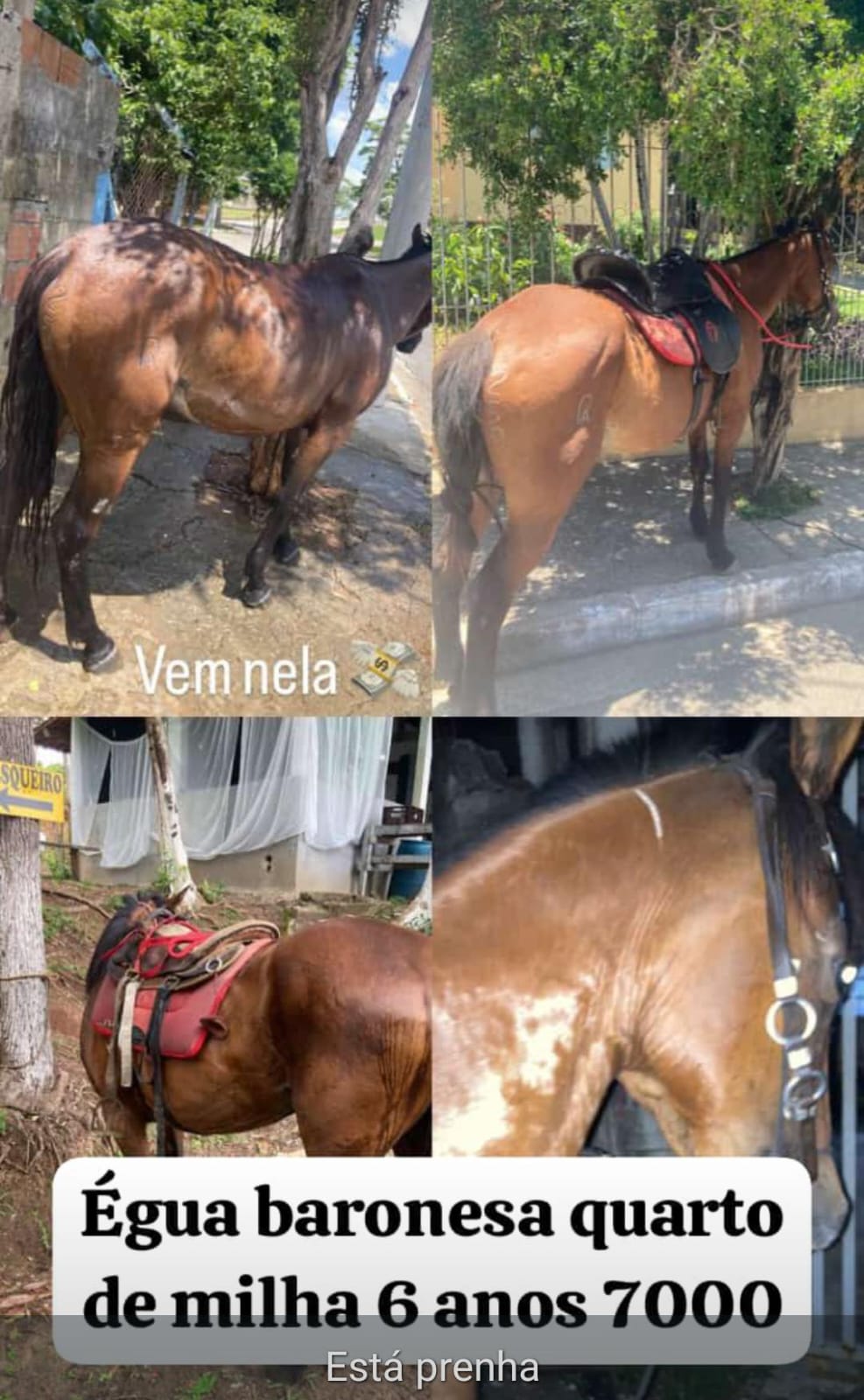Portal Vendocão Venda Sao jose dos campos
