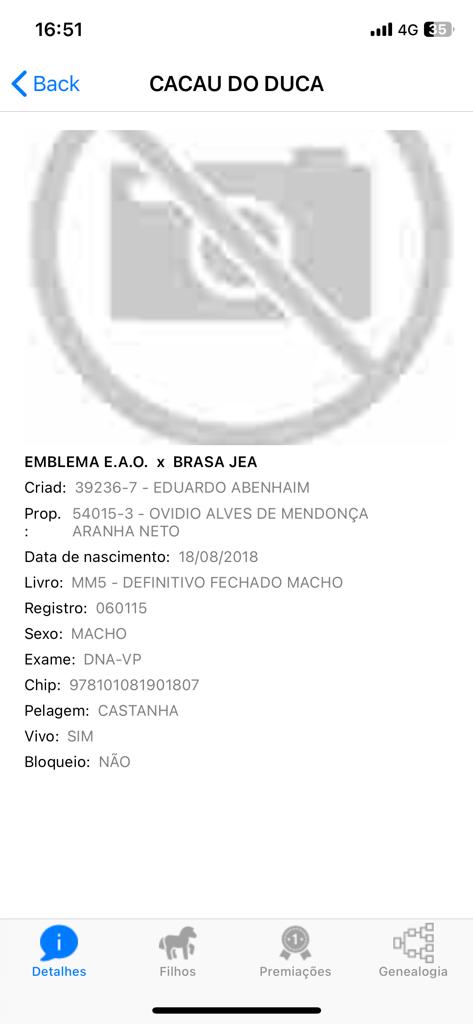 Portal Vendocão Vendo cavalo mangalarga marchador Camaçari